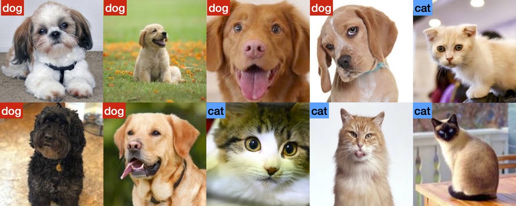 Example of Supervised Learning Task: Image Classification