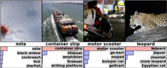 Image Net image classification challenge.