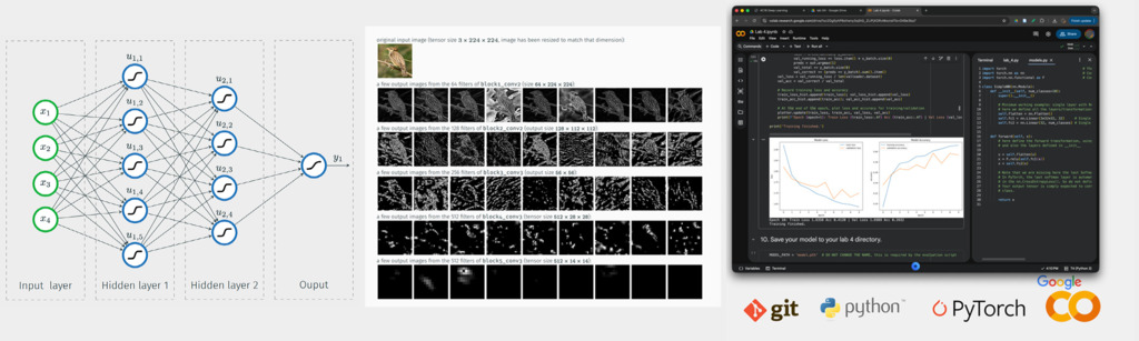 Deep Learning Coursework and Visualisations